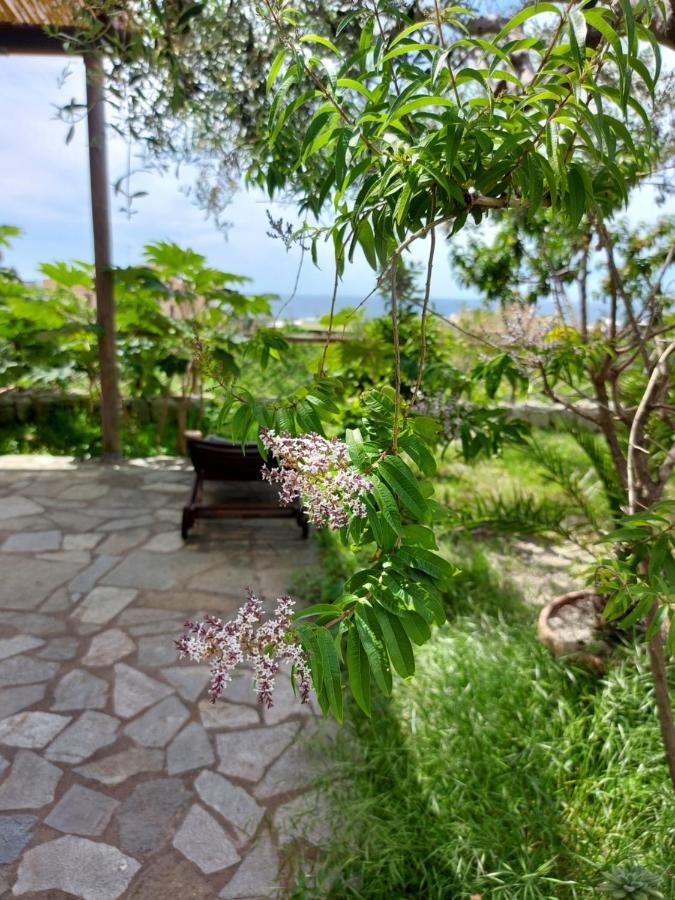 Villa Symphony Sea View Forio di Ischia المظهر الخارجي الصورة