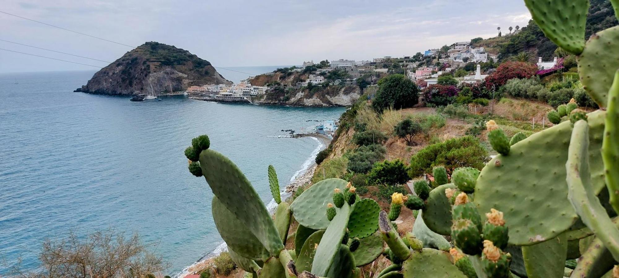 Villa Symphony Sea View Forio di Ischia المظهر الخارجي الصورة